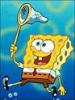 Benutzerbild von Sponge Bob